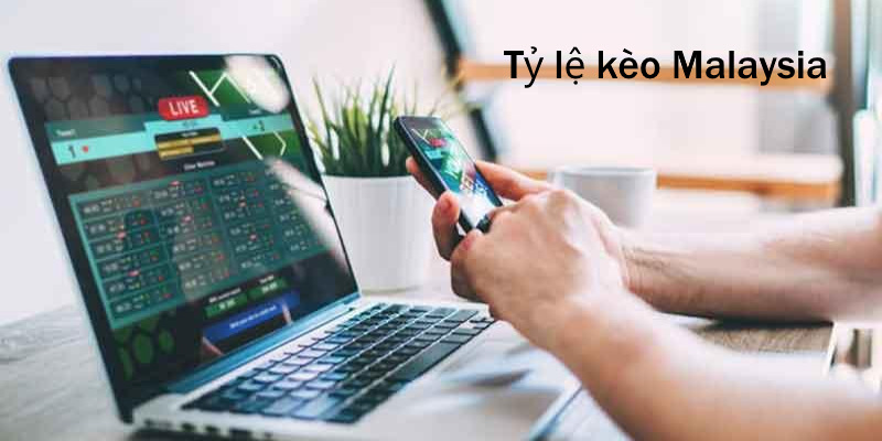 Tỷ lệ kèo Malaysia là cách thức hiển thị odds 